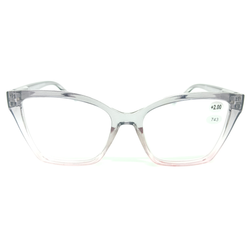 Очки корр с линзами из пластмасс  Read WDL р743