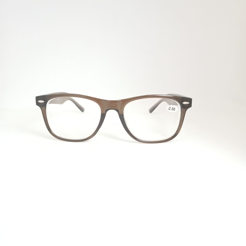 Очки корр с линзами из пластмассы в футляре Read WDL p311