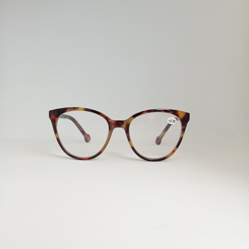 Очки корр с линзами из пластмассы в футляре Read WDL p321